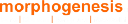 Morphogenesis