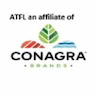 Agro Tech Foods Limited
