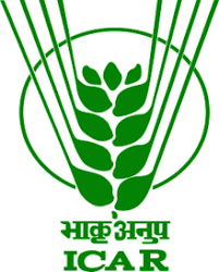 exam_logo