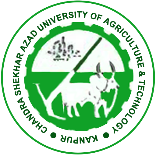 exam_logo